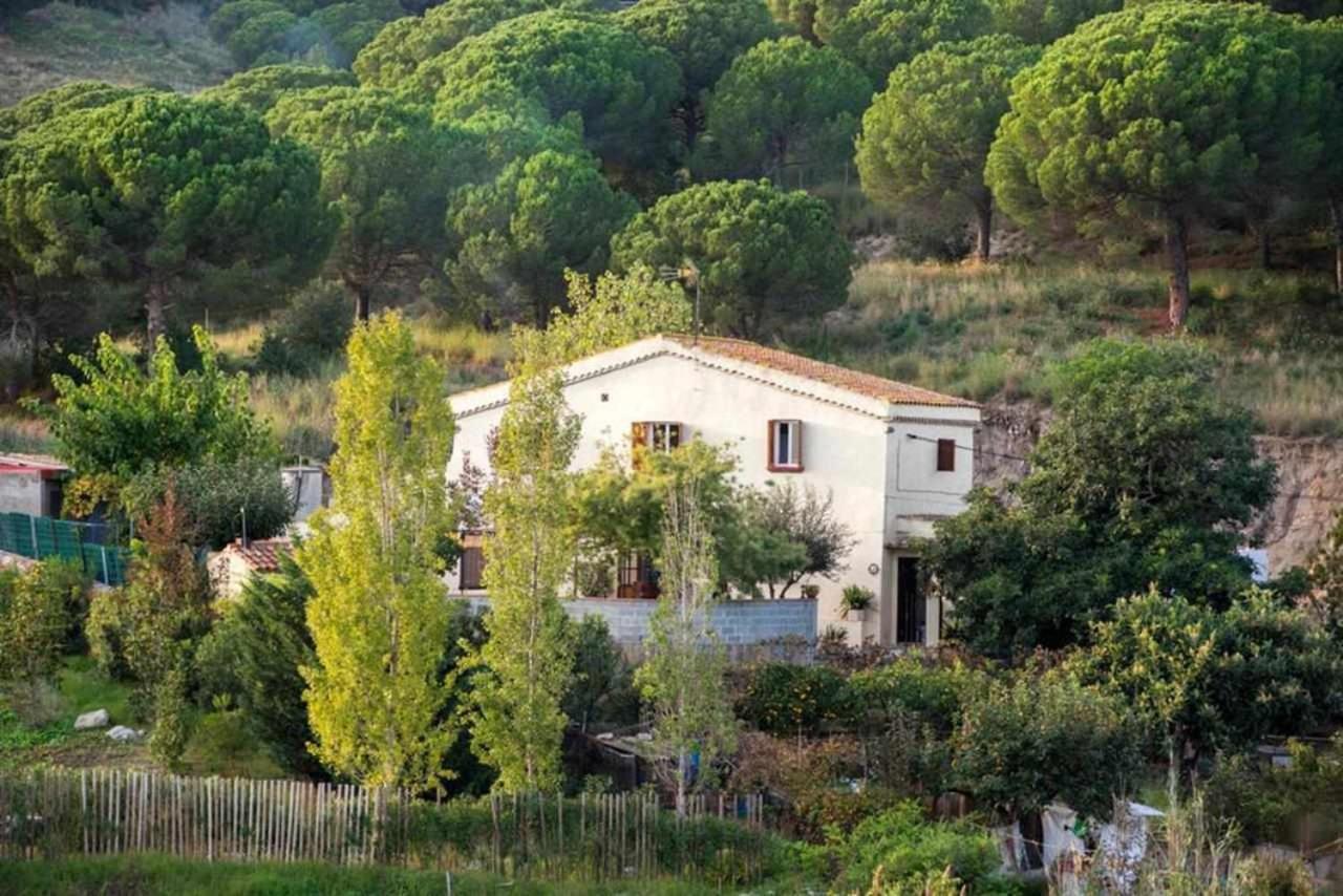 Masia Can Tramontana Guest House Tiana Luaran gambar